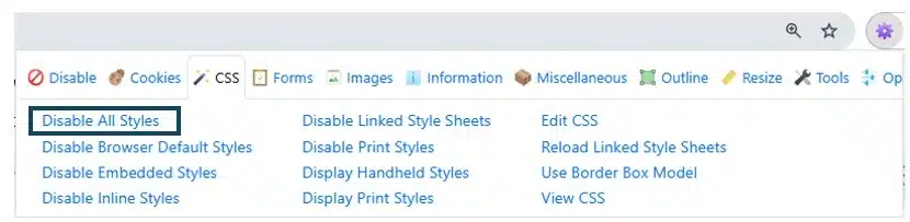 Web Developer - Disable All Styles